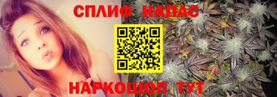 крисы Малгобек