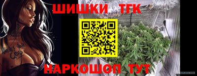крисы Малгобек