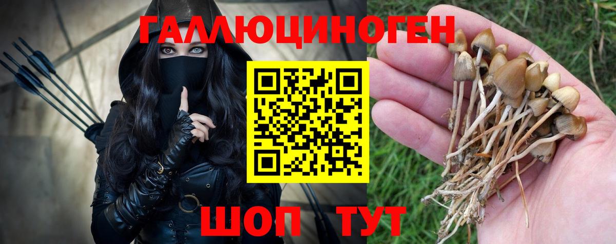 Галлюциногенные грибы GOLDEN TEACHER Фролово